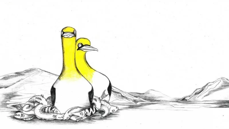 Nigel by Natasza Cetner animation film still