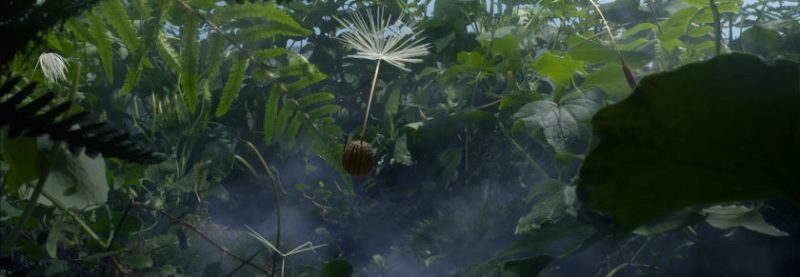 Dandelion's Odyssey Momoko Seto
