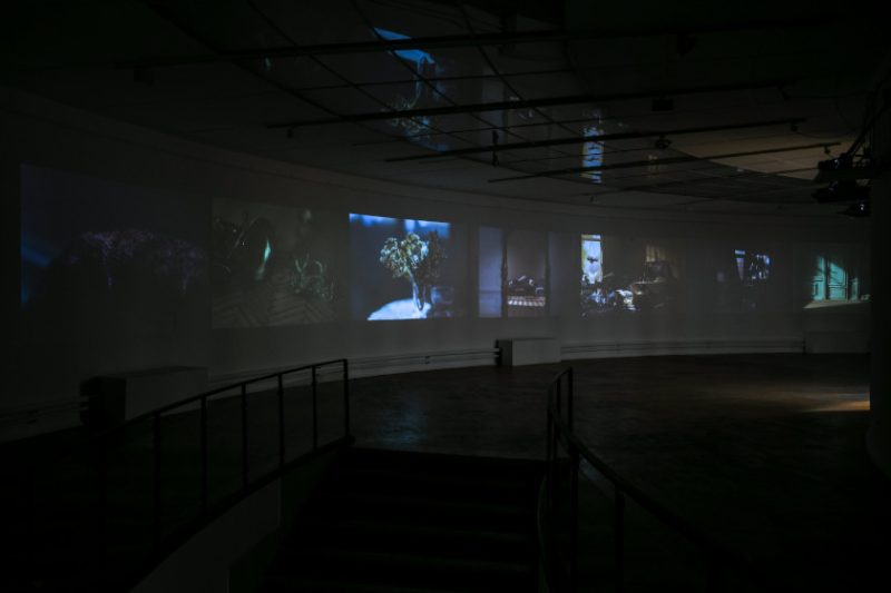 The Family Portrait Zagreb installation