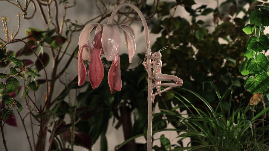 Winter in the rainforest by Anu-Laura Tuttelberg animation film still