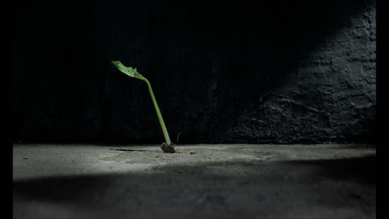 Rumours by Nicole Aebersold animation film still