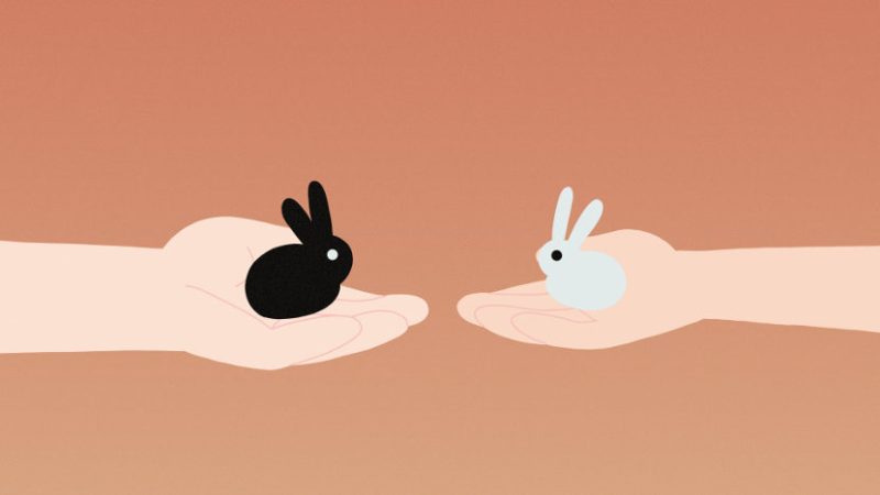 Two for Two Jelena Oroz animation film still